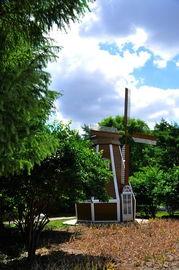 哈尔滨植物园爆料视频曝光,探秘园内珍稀植物与神秘现象